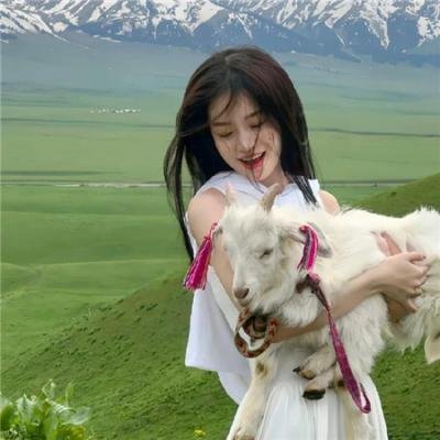 伍六七之记忆碎片