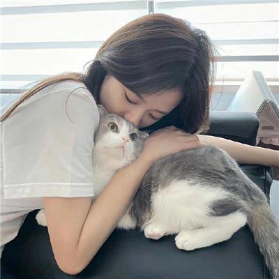 家裂 第三季
